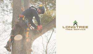 Longtree Tree Service