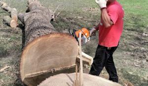 Climbing to the Top Tree Service