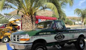 Timber Pros Tree Service