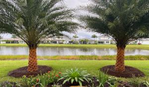 Jaguar Garden Designs