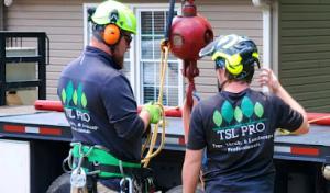 TSL PRO- Your Tree, Shrub, & Landscape Professionals