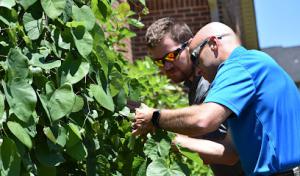 Schneider Tree Care - Spartanburg