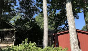 Open Canopy Tree Service