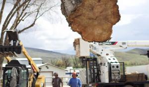 2 Rivers Tree Service & Hardscapes