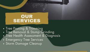 Waters Septic Tank Service