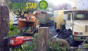 Greenstar Tree