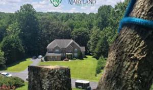 Southern Maryland Tree Service