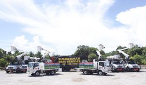 Zimmerman Tree Service