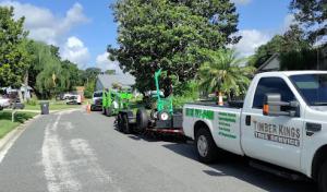 Timber Kings Tree Service