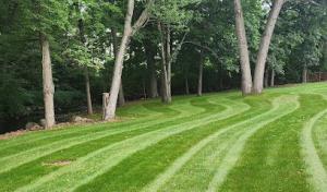 Lorenzo's Landscaping & Tree Service