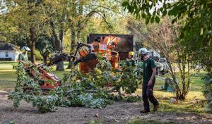 The Good Tree Company