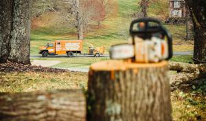 Roberts’ Tree Experts