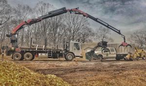 Barren Tree Solutions