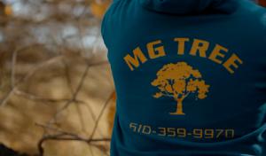 MG Tree