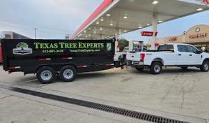 Texas Tree Experts