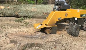 Cutt Rite Tree Service