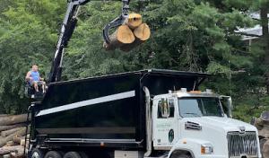 Collins Tree Care & Removal