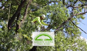 Green Vista Tree Care