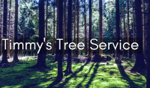 Timmy's Tree Service