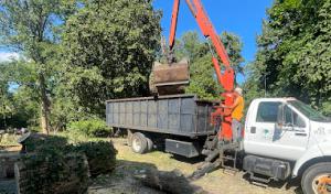 RS Tree & Landscaping Svc