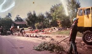 Aly's Tree Trimming & Yard Clean-Up