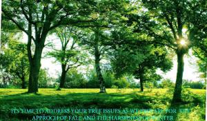 Phil's Grasshoppers Tree Service