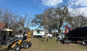 J&J Professional Tree Service