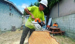 Beach Cities Tree Care