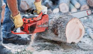 Dublin Tree Services