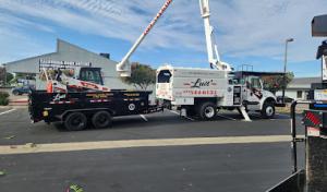 Luis' Gardening & General Hauling