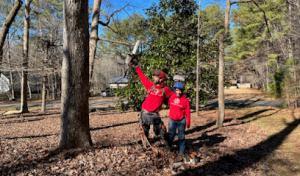 Lubbers & Sons Tree Care