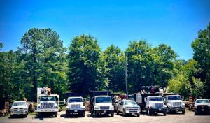 James River Tree Service