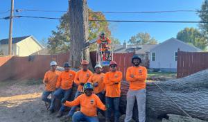 JR Tree Service
