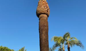 Don Williams Landscape & Tree Service