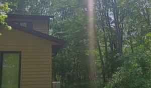 Grizzly Tree Service