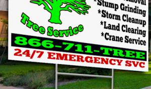 1st Priority Tree Service