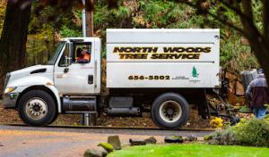 North Woods Tree Service