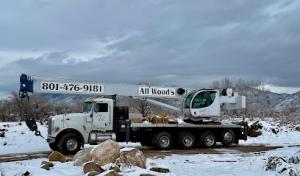 All Wood's Tree Service