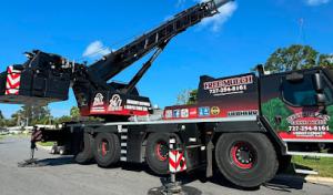 Jerry Riggers Crane & Tree