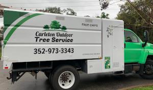 Carleton Outdoor Tree Service