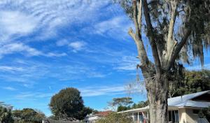 Lakeshore Tree Service