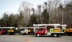 Mencer's Tree Service