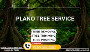 Tree Service Plano