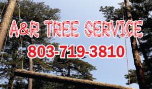 A & R Tree Service