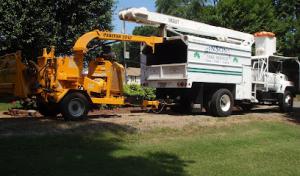 Hinson Tree Service