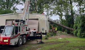 Good Neighbor Tree Service
