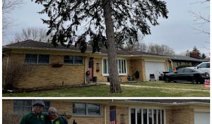 Torres Tree Services