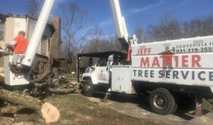 Jeff Manier Tree Service