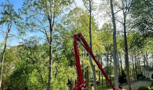 Spencer’s Tree Service