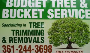 Budget Trees